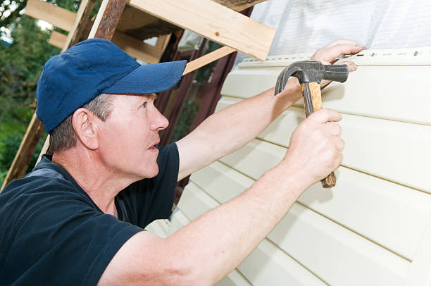 Affordable Siding Repair and Maintenance Services in Mount Rainier, MD